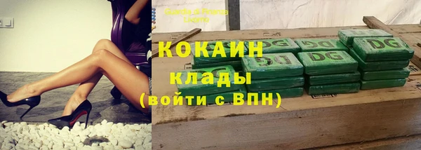 амф Вяземский