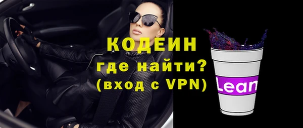 СК Вязьма