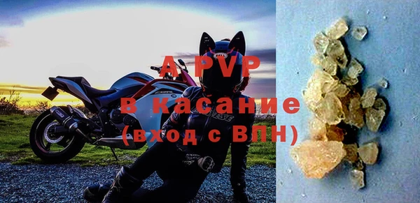 СК Вязьма