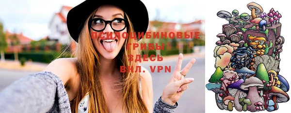 амф Вяземский