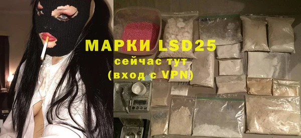 амф Вяземский