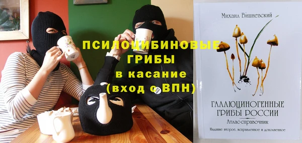 СК Вязьма